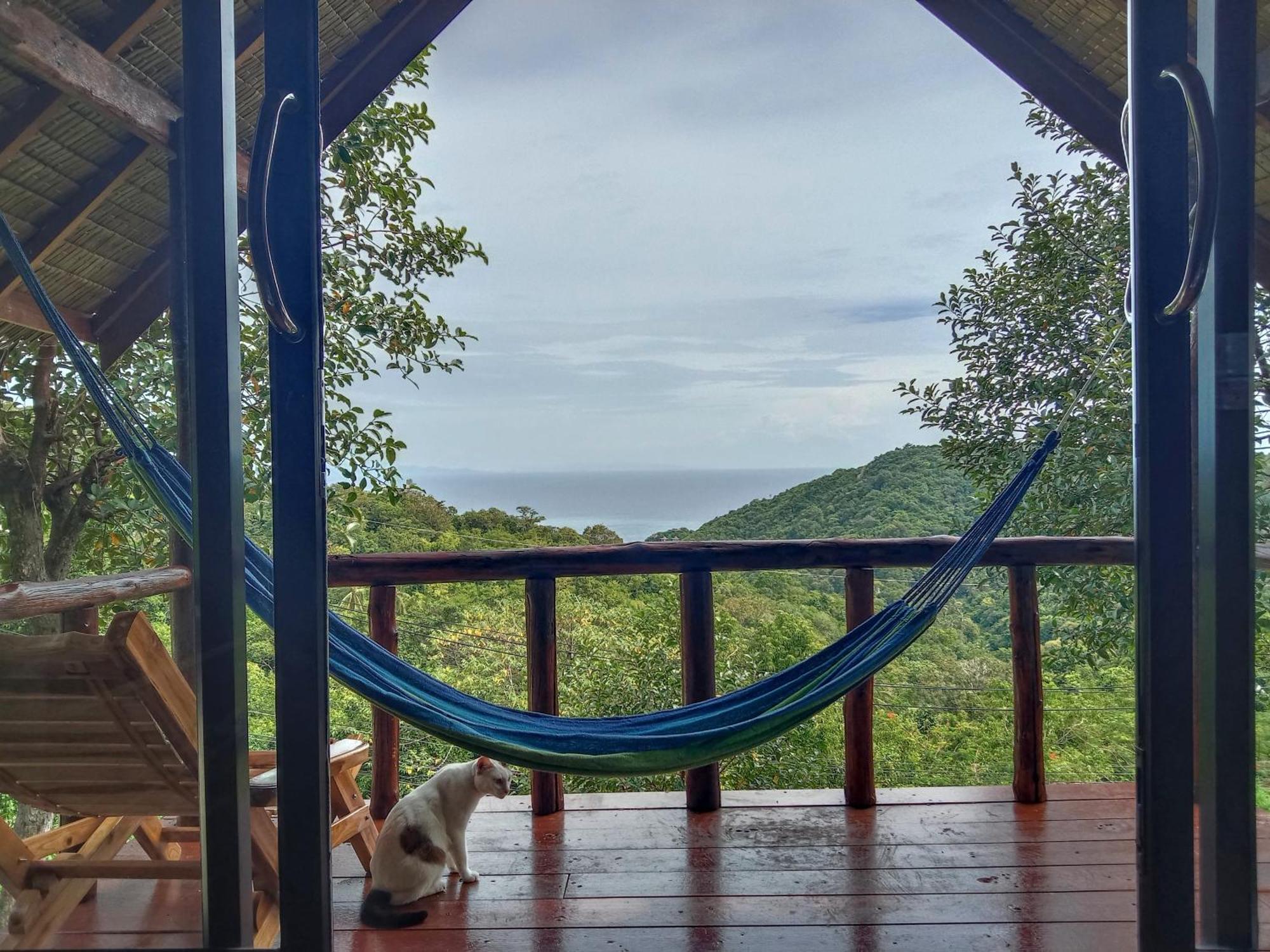 Tree House Bungalows Κο Τάο Εξωτερικό φωτογραφία