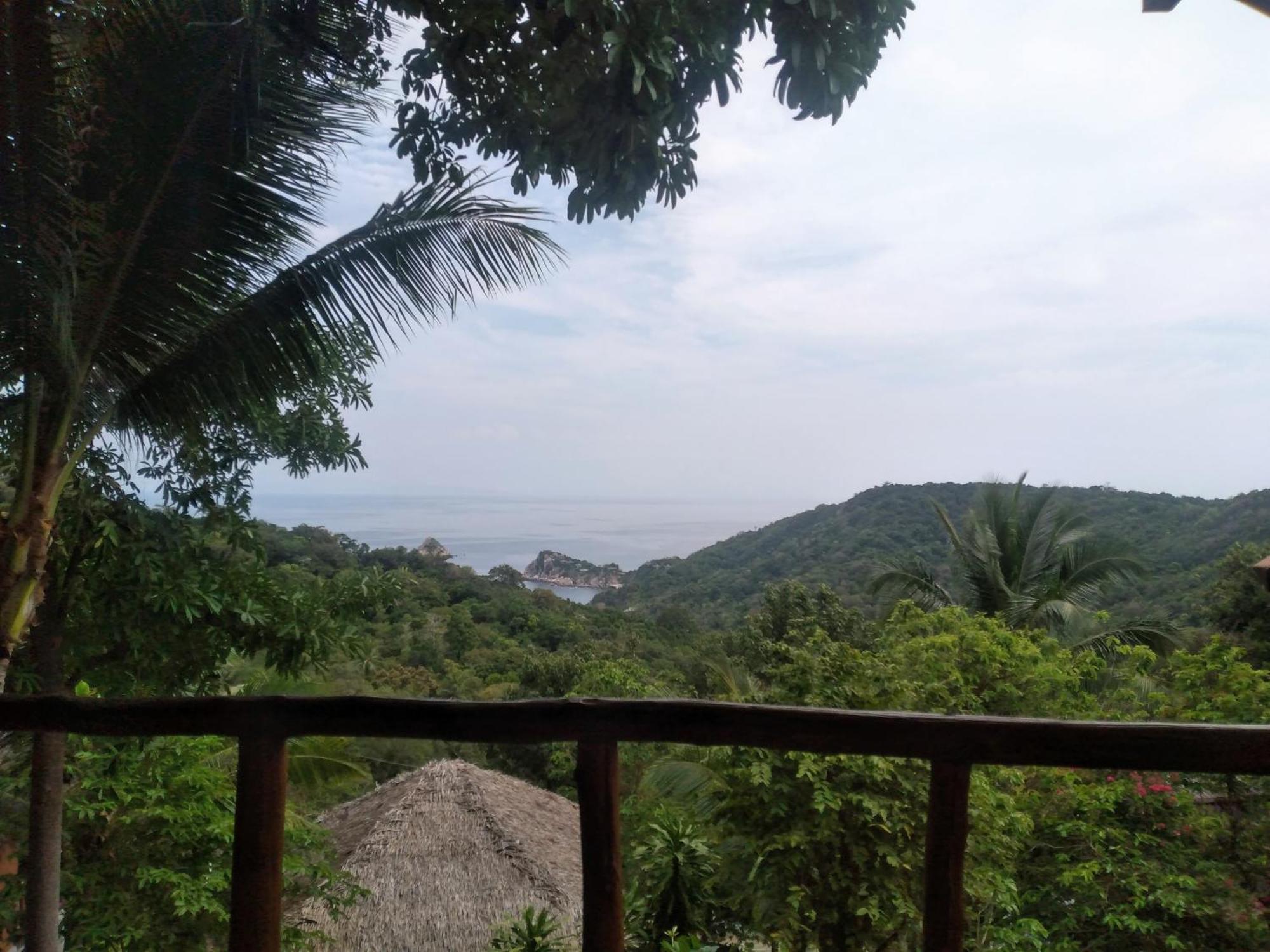 Tree House Bungalows Κο Τάο Εξωτερικό φωτογραφία